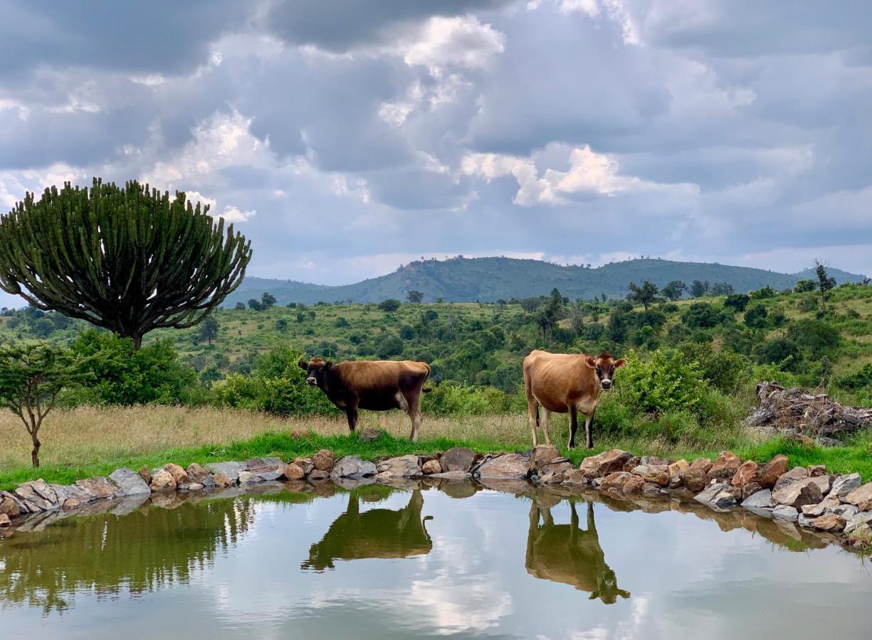 Olepangi Farm Villa Nanyuki Luaran gambar