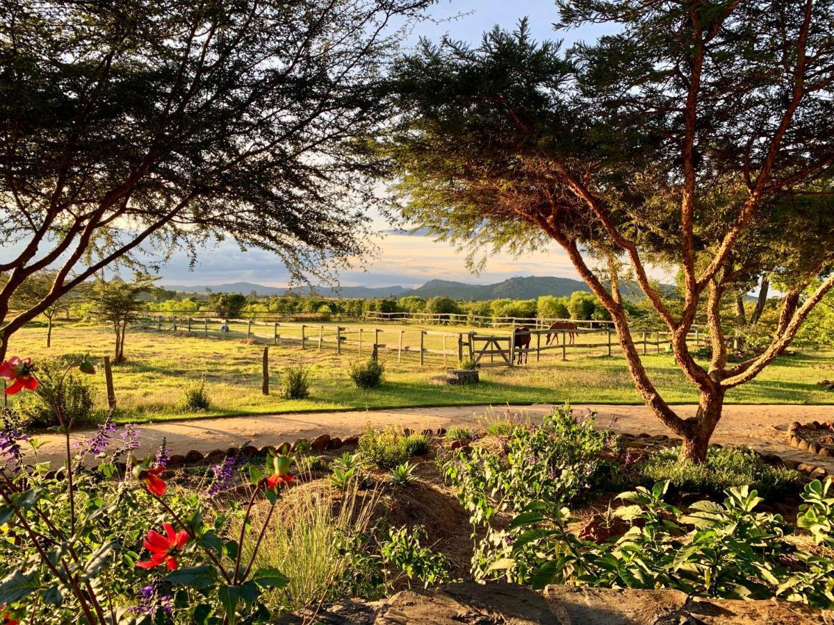 Olepangi Farm Villa Nanyuki Luaran gambar