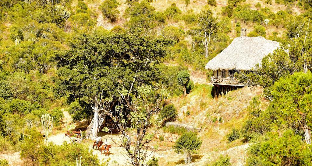 Olepangi Farm Villa Nanyuki Luaran gambar