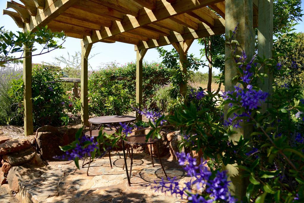 Olepangi Farm Villa Nanyuki Bilik gambar