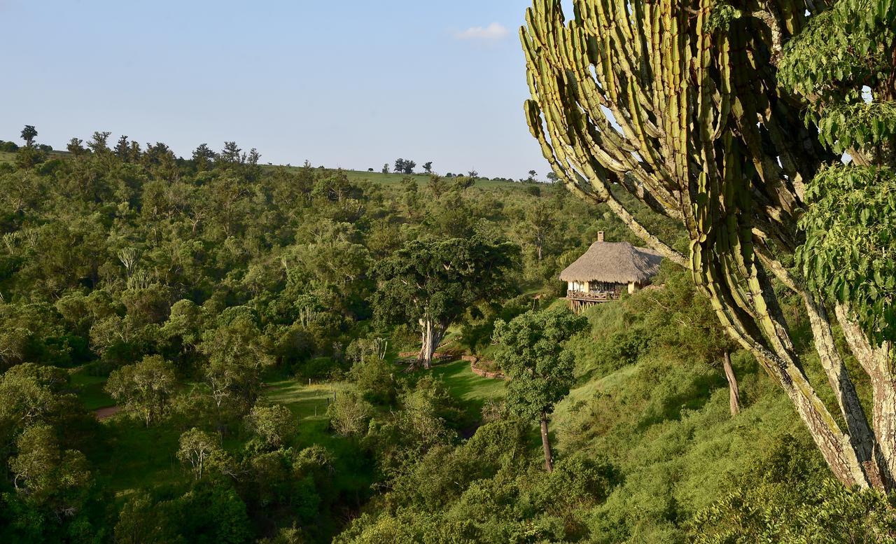 Olepangi Farm Villa Nanyuki Luaran gambar